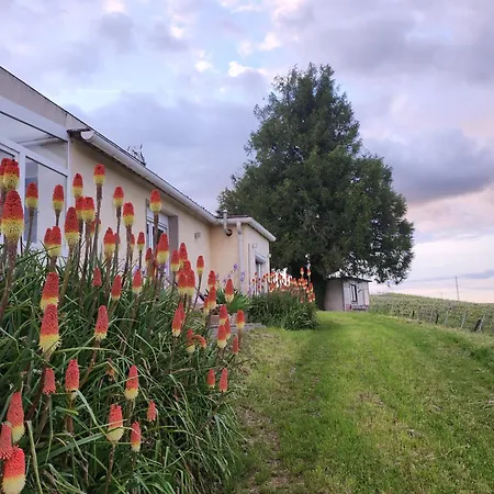 L'echappee Bulles Épernay